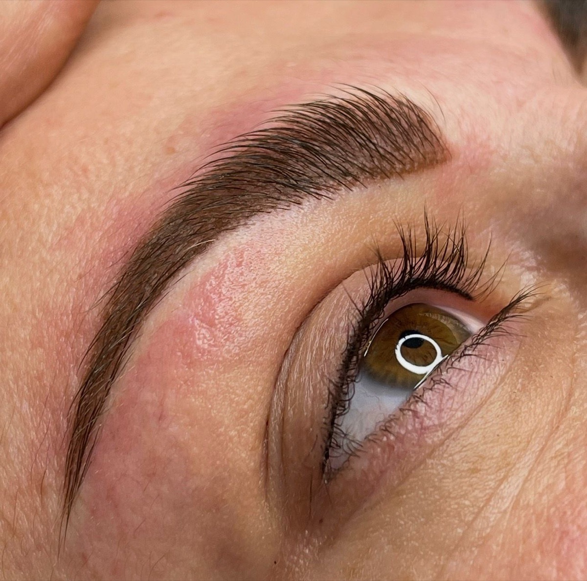 Augenbraue nach Powder Brows Behandlung – dichte gleichmäßige Pigmentierung, weicher Verlauf